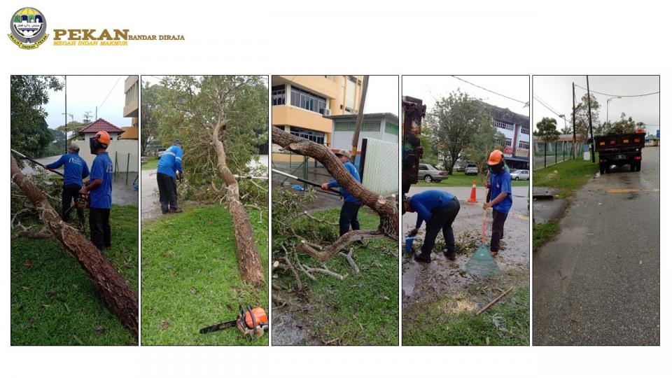 kerja penebangan pokok