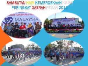 Sambutan Hari Kebangsaaan Peringkat Daerah Pekan 2016