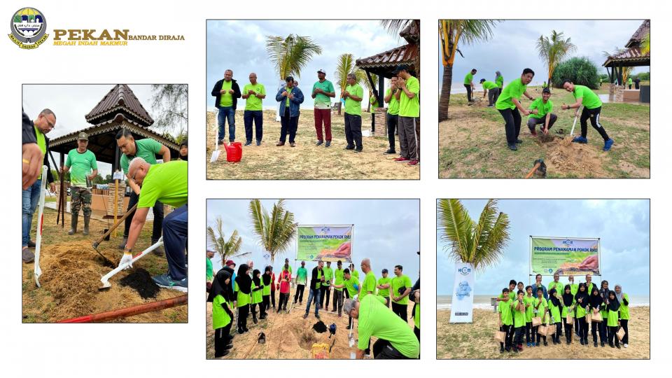 Program CSR Penanaman Pokok